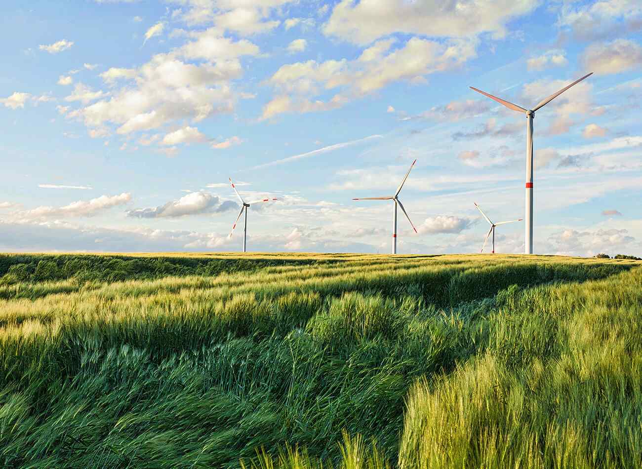 https://greenclimat.fr/wp-content/uploads/2022/03/image_inner_11.jpg