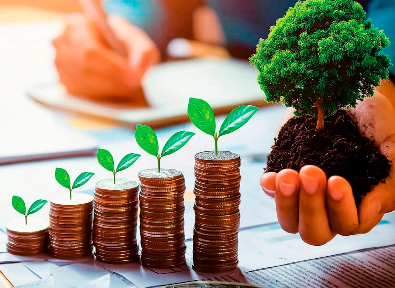 https://greenclimat.fr/wp-content/uploads/2024/07/green-climat-economies-energie-installation-pompe-a-chaleur-pac.jpg
